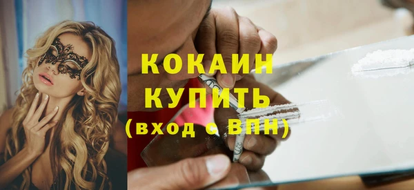 соль ск Алзамай