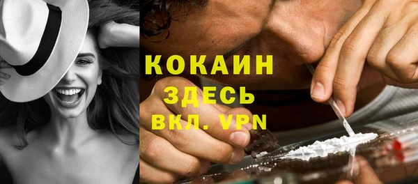 соль ск Алзамай