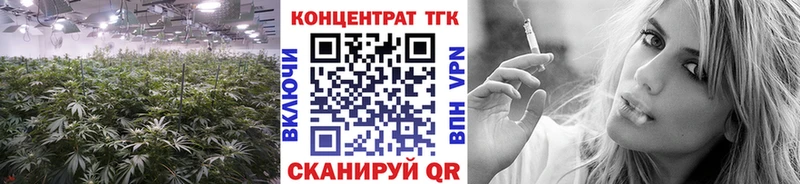 купить наркоту  Бердск  Дистиллят ТГК Wax 