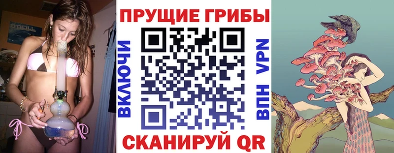 Псилоцибиновые грибы GOLDEN TEACHER  Бердск 
