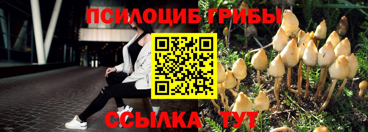Псилоцибиновые грибы Magic Shrooms Бердск